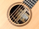 Taylor 717e Builder's Edition 2022-11.jpg