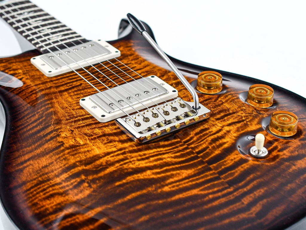 PRS DGT Black Gold Burst-10.jpg