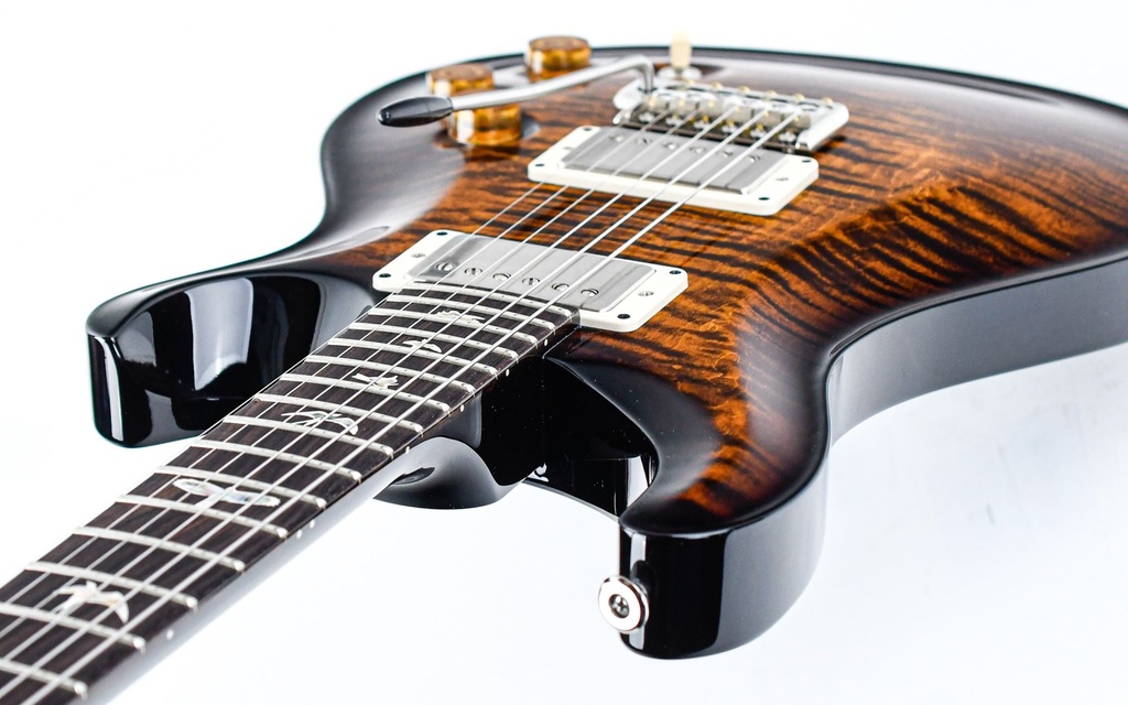 PRS DGT Black Gold Burst-8.jpg