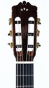 Cordoba C10 7_8 Rosewood Cedar Used-4.jpg