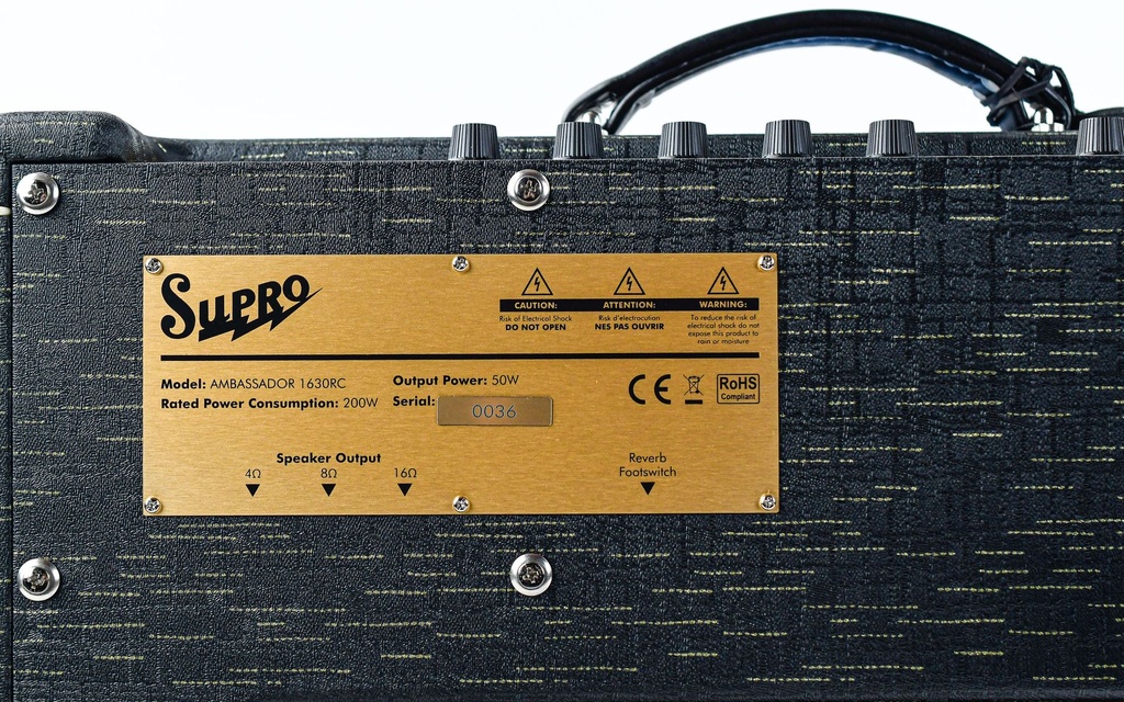 Supro Ambassador 2x10 Custom Combo-8.jpg