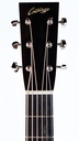 Collings D2H Traditional-4.jpg