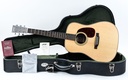 Collings D2H Traditional-1.jpg