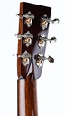 Collings D2H Traditional-5.jpg