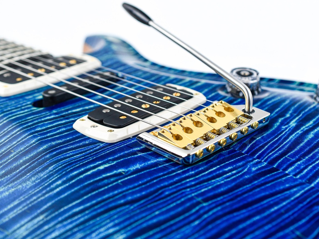 PRS Wood Library Modern Eagle V River Blue-10.jpg