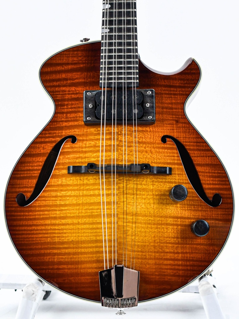 Eastman El Rey Electric Mandolin Goldburst-3.jpg