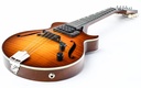 Eastman El Rey Electric Mandolin Goldburst-11.jpg