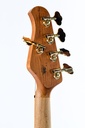 Music Man Stingray Special 5 Jackpot-5.jpg