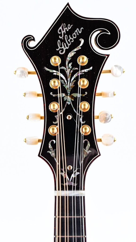 Gibson F5 Goldrush 2017-4.jpg