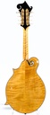 Gibson F5 Goldrush 2017-7.jpg