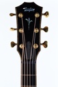 Taylor Builder's Edition K14CE-4.jpg