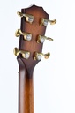 Taylor Builder's Edition K14CE-5.jpg