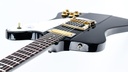 Gibson Firebird Bicentennial Ebony 1976-8.jpg