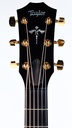 Taylor 614ce LTD 50th Anniversary-4.jpg