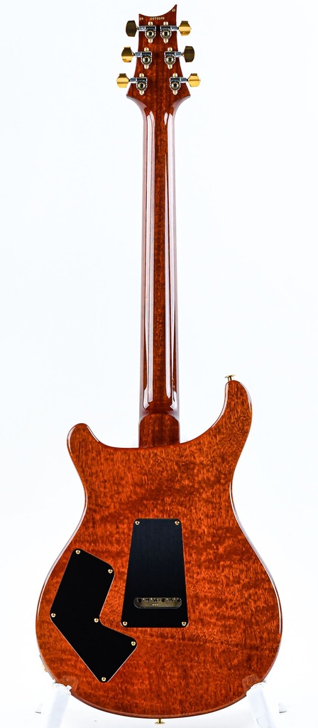 PRS Wood Library Modern Eagle V Burnt Maple Leaf-7.jpg