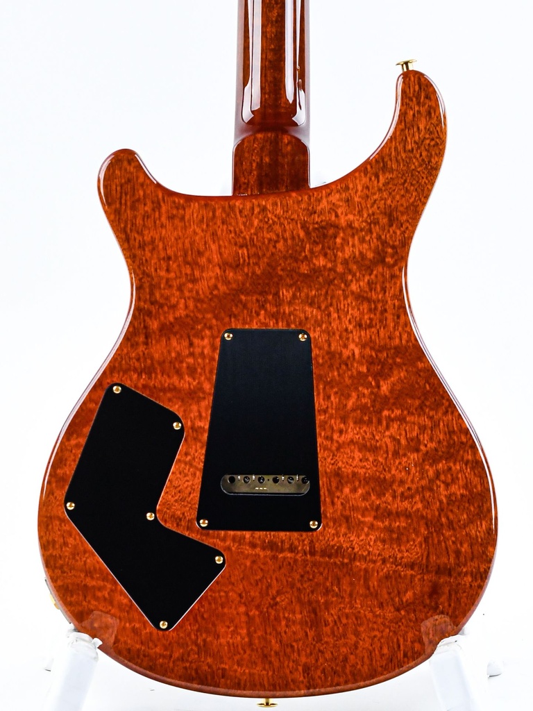 PRS Wood Library Modern Eagle V Burnt Maple Leaf-6.jpg