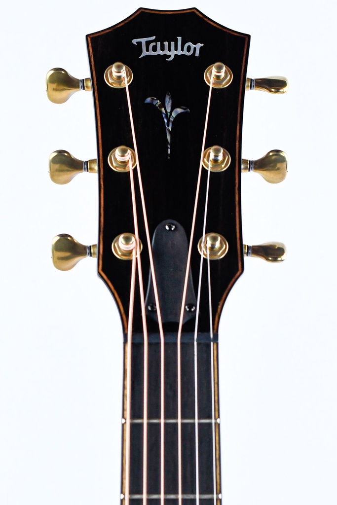 Taylor K24ce Builder's Edition-4.jpg