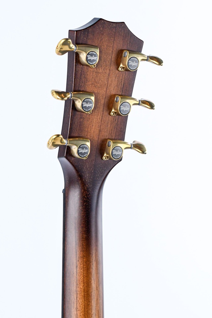 Taylor K24ce Builder's Edition-5.jpg