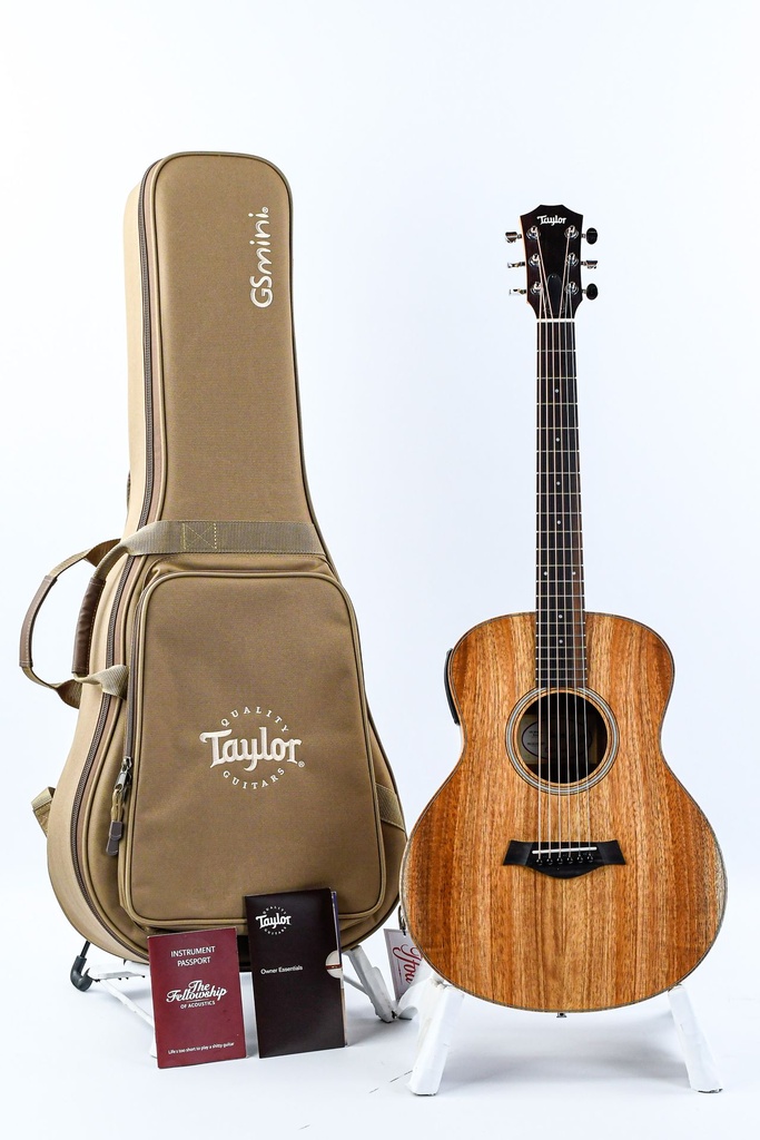 Taylor GS Mini-E Koa-1.jpg