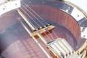 Pendennis Irish Tenor Banjo 2010-7.jpg