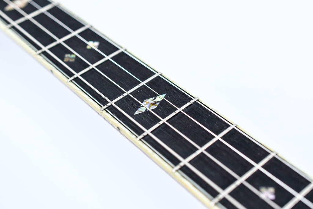 Pendennis Irish Tenor Banjo 2010-9.jpg