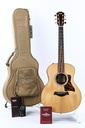 GS Mini-e Rosewood Natural Firestripe 50th Anniversary-1.jpg