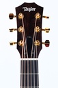 GS Mini-e Rosewood Natural Firestripe 50th Anniversary-4.jpg