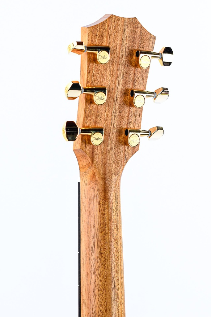 GS Mini-e Rosewood Natural Firestripe 50th Anniversary-5.jpg