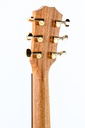 GS Mini-e Rosewood Natural Firestripe 50th Anniversary-5.jpg