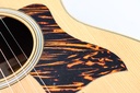 GS Mini-e Rosewood Natural Firestripe 50th Anniversary-11.jpg