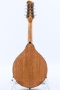 Eastman PCH M104 Classic Mandolin-7.jpg