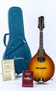 Eastman PCH M104 Goldburst Mandolin-1.jpg