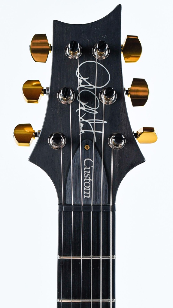 PRS Wood Library Custom 24 Purple Mist Paua Birds Lefty-4.jpg
