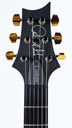 PRS Wood Library Custom 24 Purple Mist Paua Birds Lefty-4.jpg