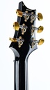 PRS Wood Library Custom 24 Purple Mist Paua Birds Lefty-5.jpg