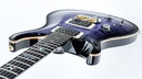 PRS Wood Library Custom 24 Purple Mist Paua Birds Lefty-8.jpg