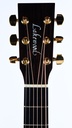 Lakewood M32 Lefty 2020-4.jpg