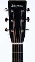 Eastman E10OM Sunburst-4.jpg