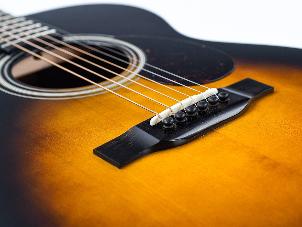 Eastman E10OM Sunburst-10.jpg