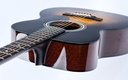 Eastman E10OM Sunburst-8.jpg