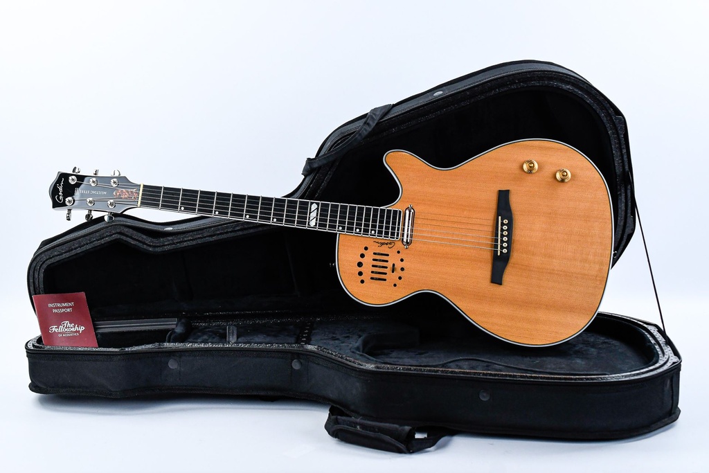 Godin Multiac Steel HG 2021-1.jpg