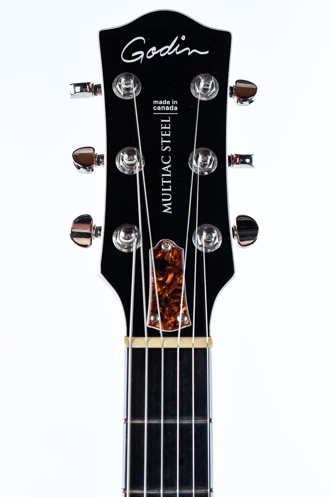 Godin Multiac Steel HG 2021-4.jpg