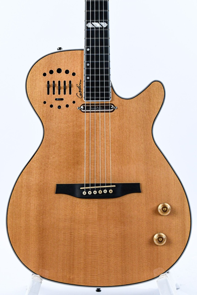 Godin Multiac Steel HG 2021-3.jpg