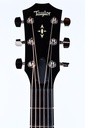 Taylor 517e Builders Edition 2021-4.jpg