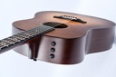 Taylor 517e Builders Edition 2021-8.jpg