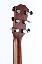 Taylor 517e Builders Edition 2021-5.jpg