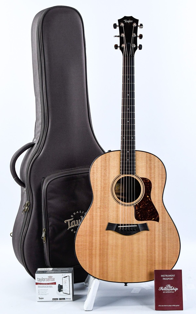 Taylor AD17e Natural 2021-1.jpg