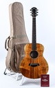 Taylor GS mini E Koa 2021-1.jpg