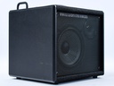 Phil Jones M7 Micro Bass Combo-4.jpg