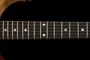 DGT Semi-Hollow_d.jpg